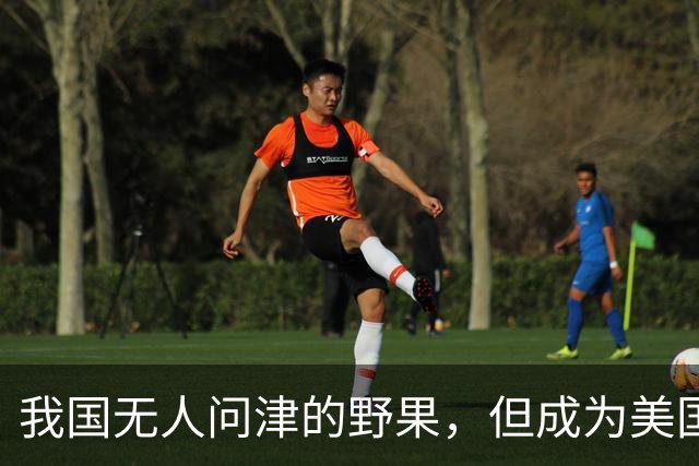 我国无人问津的野果，但成为美国人的心头宝，60元1斤供不应求？